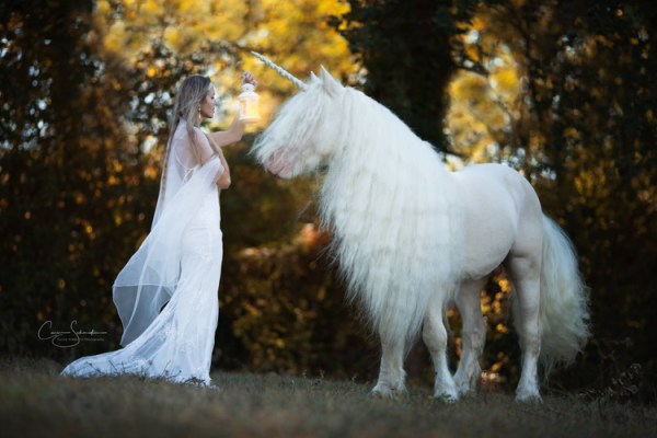 06102018-IMG_0032-Modifier