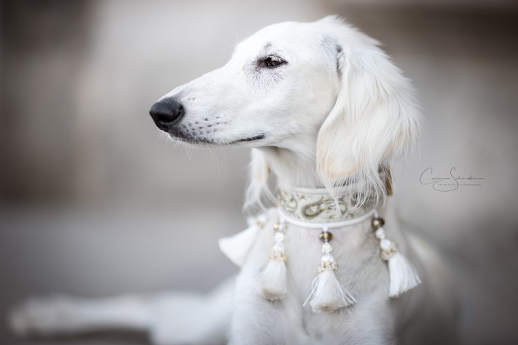 19082018-IMG_8480-Modifier