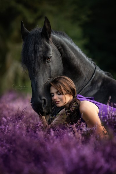 26082018-IMG_8953-Modifier