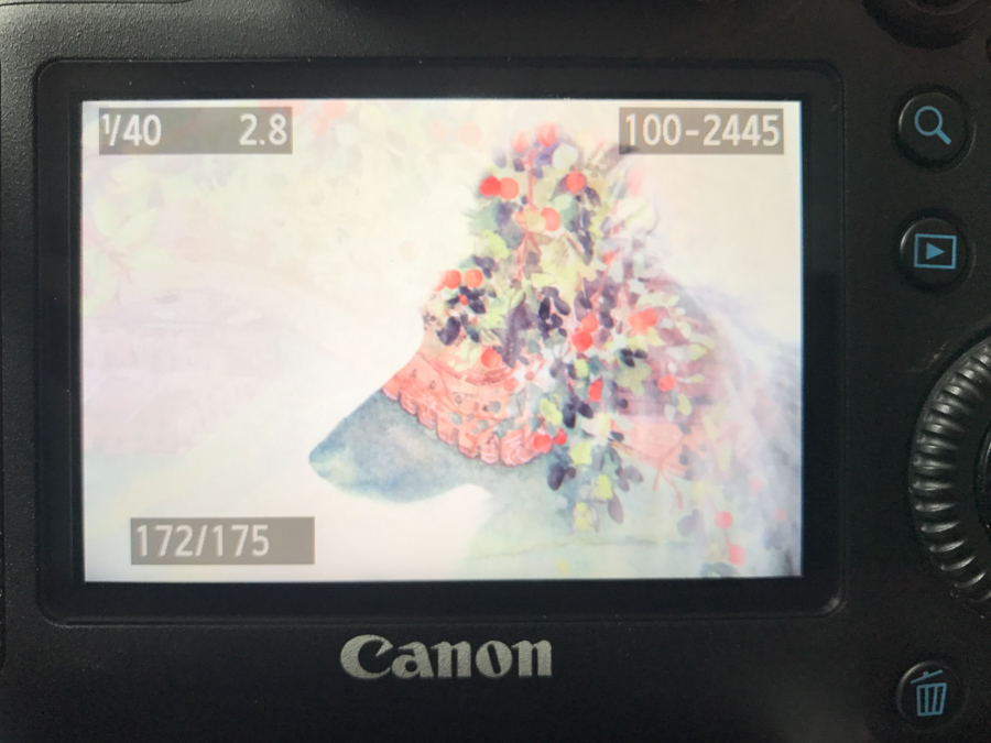 [TUTO] L’Exposition multiple sur Canon 5D Mark III – Carine Schmidlin